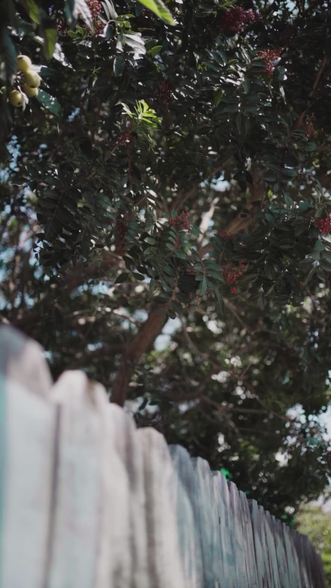 BLAQ PAQ TACTICAL DESERT SAND