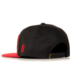 LOBO SNAPBACK